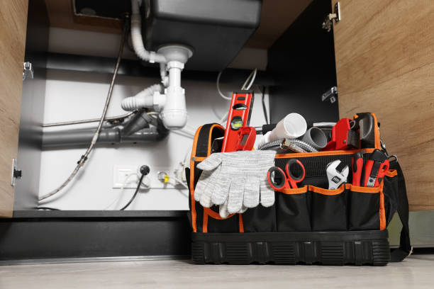 Best Plumbing Services Near Me  in Poynette, WI
