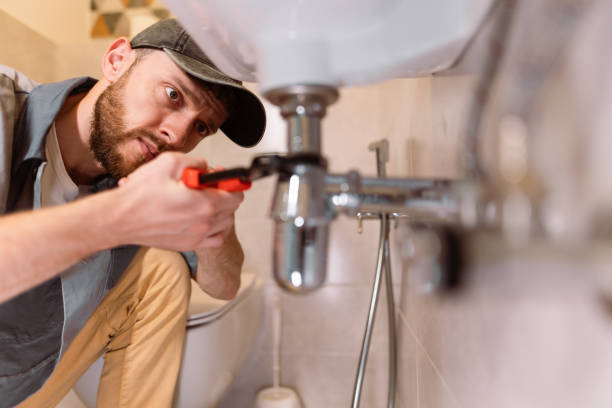 Best Commercial Plumbing Services  in Poynette, WI